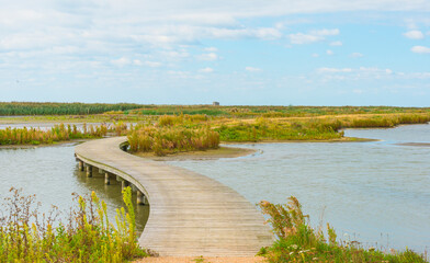 Inlet of an island wetland nature reserve with wild flowers, cattail and reed along a lake below a...