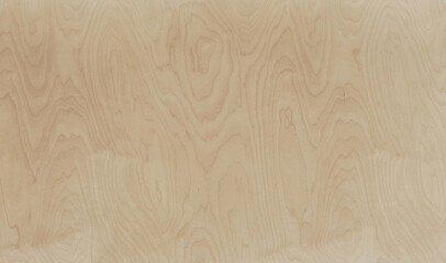 Light plywood pattern. Building material. Veneer plywood texture background