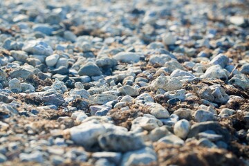Pebbles on the Beach