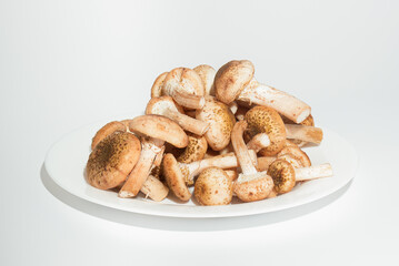 Freshly mushrooms honey agarics on white plate isolated on white background. Armillaria mellea or honey fungus is the beautiful edible mushroom