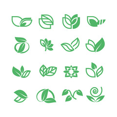 A collection of icons with leaves, an emblem of ecology, organic, natural products, a healthy lifestyle.