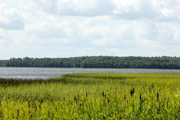 Lake with green ridges, sunny summer day with clouds in the sky, Lake Usma in Latvia 