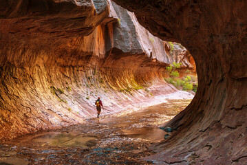 Canyon in Zion