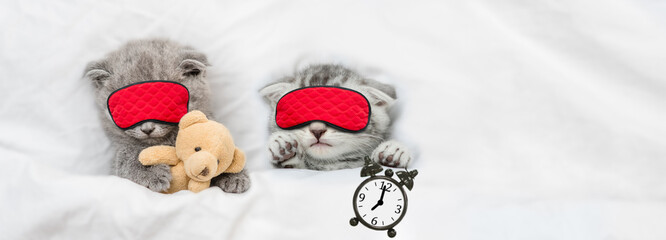 Two cute cozy kittens sleep together in sleeping masks under blanket on a bed at home. One kitten...