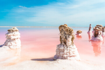 Salt on a wooden stick on a pink lake close-up. Serene landscape