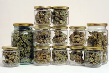 Cannabis drying and curing. Marijuana buds in glass jars. Eco container. Hemp growing concept.