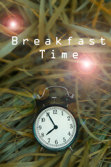 Breakfast time concept with clock and grass