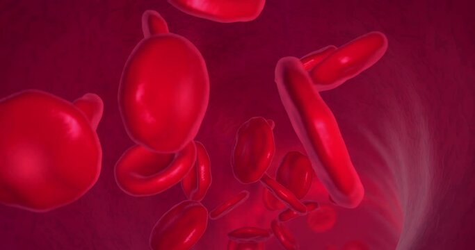 Red blood cells pumped through an artery during blood circulation - 3d illustration