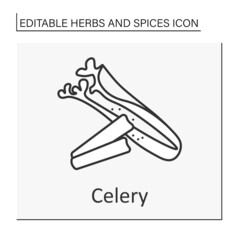 Celery line icon. Aromatic leaf stalks raw or cooked. Tasty herb with special flavor. Herbs and spices concept. Isolated vector illustration. Editable stroke
