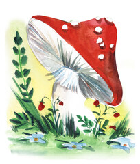 Old style drawing. A bright red fly agaric mushroom with white dots surrounded by forest grasses and blue flowers. Sunny hand-drawn watercolor illustration integrated into the background