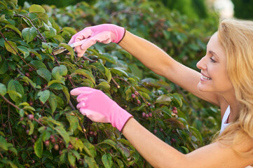 Smiling inspired woman pruning tree branches
