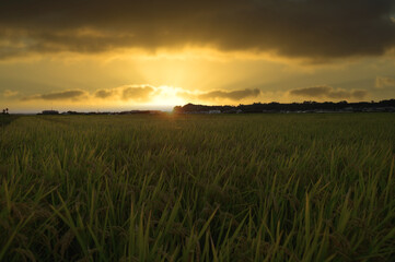 秋の季節の日没