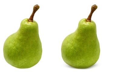 洋梨 ラ・フランス イラスト リアル 