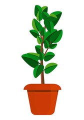 Indoor plant in a pot. Flower. Gardening, floriculture, botany. Cartoon drawing. For collages. Interior web design. Landscape design