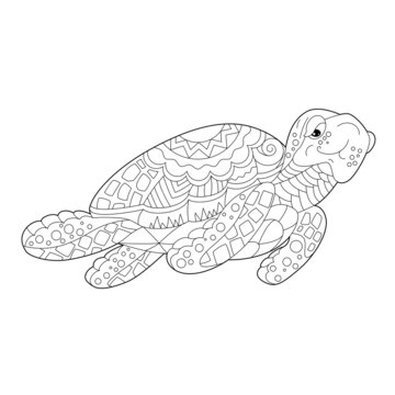 Contour linear illustration for coloring book with decorative paradise bird. Beautiful animal,  anti stress picture. Line art design for adult or kids  in zen-tangle style, tattoo and coloring page.