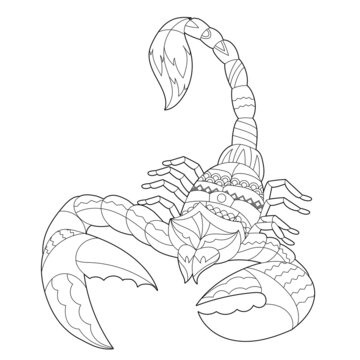 Contour linear illustration for coloring book with decorative scorpion. Beautiful animal,  anti stress picture. Line art design for adult or kids  in zen-tangle style, tattoo and coloring page.