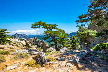 Alpin Wandern über den GR20 auf Korsika - Region Col de Bavella