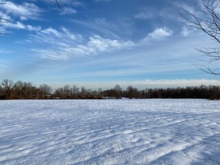 winter landscape with trees