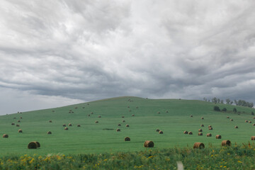 Green field with haystacks against the background of a rain cloud