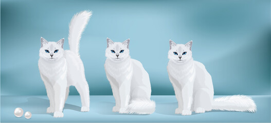 Vector collection white cat with blue eyes and fluffy tail. Cat standing and sitting and looking in camera. Front view illustration. 