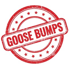 GOOSE BUMPS text on red grungy round rubber stamp.