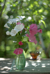 Elegant bouquet of white and pink lavatera in a glass green vase on a table top on a blurred background of a summer sunny garden