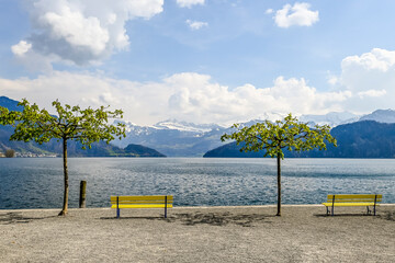 Obraz premium Weggis, Vierwaldstättersee, Seeufer, Dorf, Parkbank, Rigi, Bürgenstock, Buochshorn, Klewenalp, Wanderweg, Weggiserbecken, Frühling, Schweiz