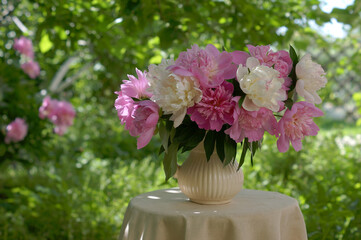 bouquet of pink and white peonies in a beige jug in the summer garden