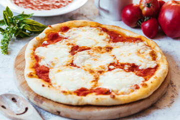 Classic Pizza with basil and tomato on top places on a bright background