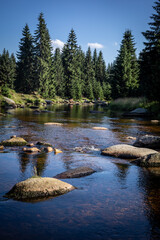 A landscape of Izera Mountains, Sudetes, Poland. Stones in the river, green forest in background. 