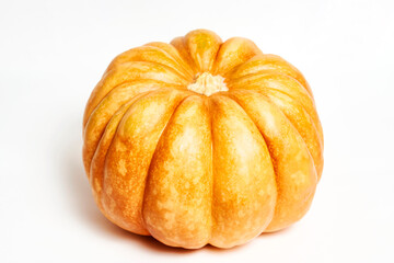 Pumpkin isolated on a white background with copy space