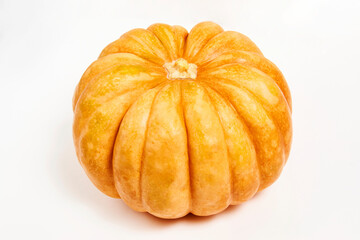 Pumpkin isolated on a white background with copy space