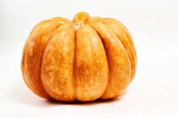 Pumpkin isolated on a white background with copy space