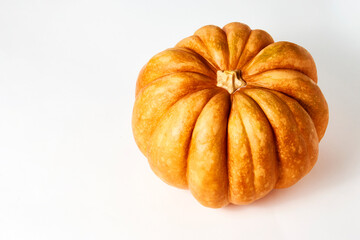 Pumpkin isolated on a white background with copy space