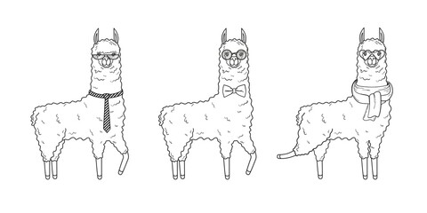 A collection of cute llamas with accessories - glasses, scarf and ties. Vector illustration in cartoon style isolated on white background