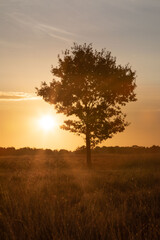 Fototapeta premium Sonnenaufgang
