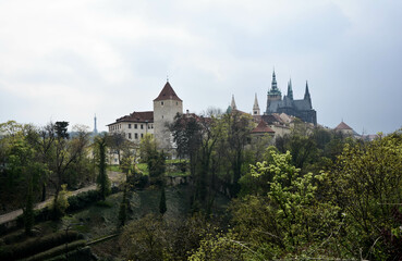 Fototapeta na wymiar view of Prague Castle through a deer moat from the west side 