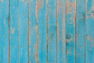 Fototapeta na wymiar Wooden background.An old blue wooden fence of painted boards with cracks and nails.