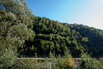 Vaserului Valley, Maramures, Romania 42