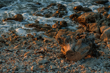 Stones on the seashore. Rocky beach at sunset. Natural background.