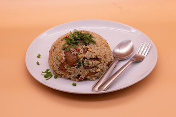 Asian food. Fide Jasmin rice white sausage served on the white plate.  side view