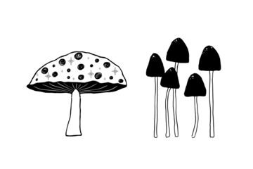 Hand Drawn Vector Mushrooms. Magic Mushroom Clipart