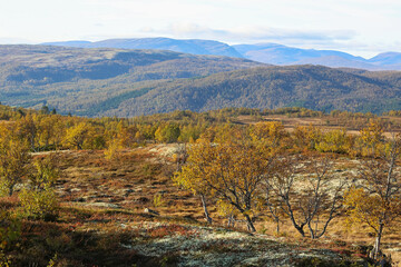 Forollhogna national Park