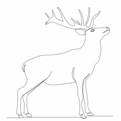 one continuous line drawing of a deer with antlers, sketch