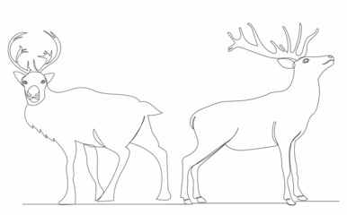 Fototapeta na wymiar continuous line drawing of a deer with antlers