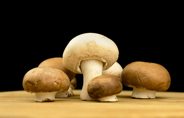 Champignon mushrooms on a wooden board on a black background, organic and natural ingredient concept