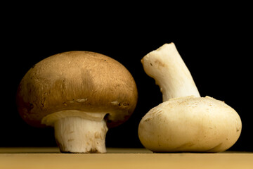 White and brown mushrooms on a black background, organic and natural ingredient concept