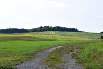 gewundene Eifelstraße