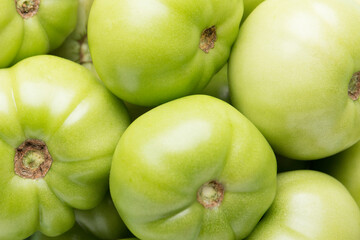 Green tomatoes for conservation on a green background. Unripe tomatoes for harvesting.