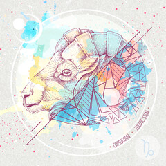 Realistic hand drawing and polygonal ram of mouflon head illustration on watercolor background. Magic card with Capricorn zodiac sign